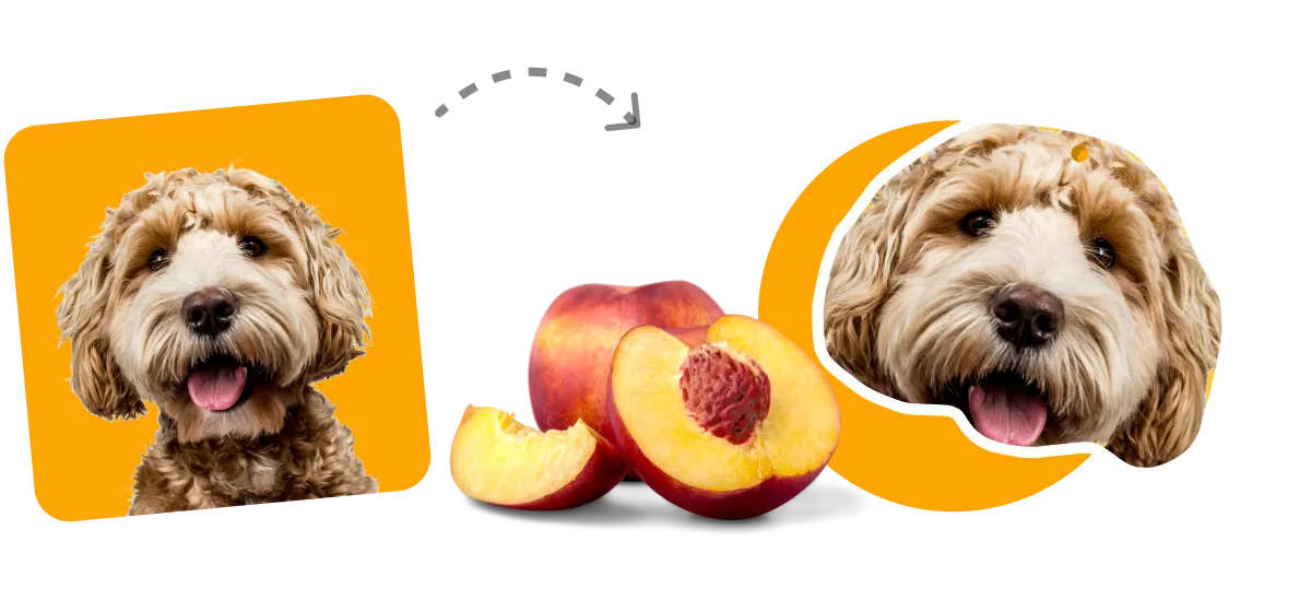 Custom Face Air Fresheners For Your Car Make My Freshener